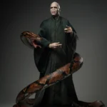 Harry Potter and the Deathly Hallows: Voldemort 1/6 Figure INART